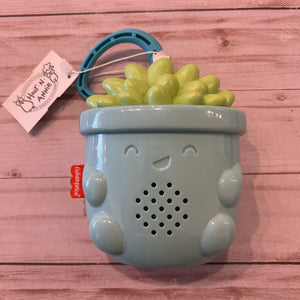 Fisher Price Soothe and Go Succulent