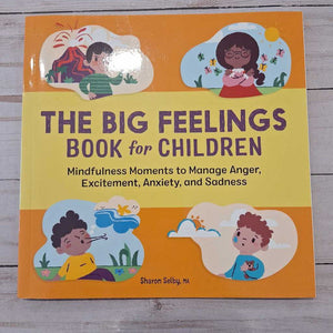 Used Book - The Big Feelings Book for Children