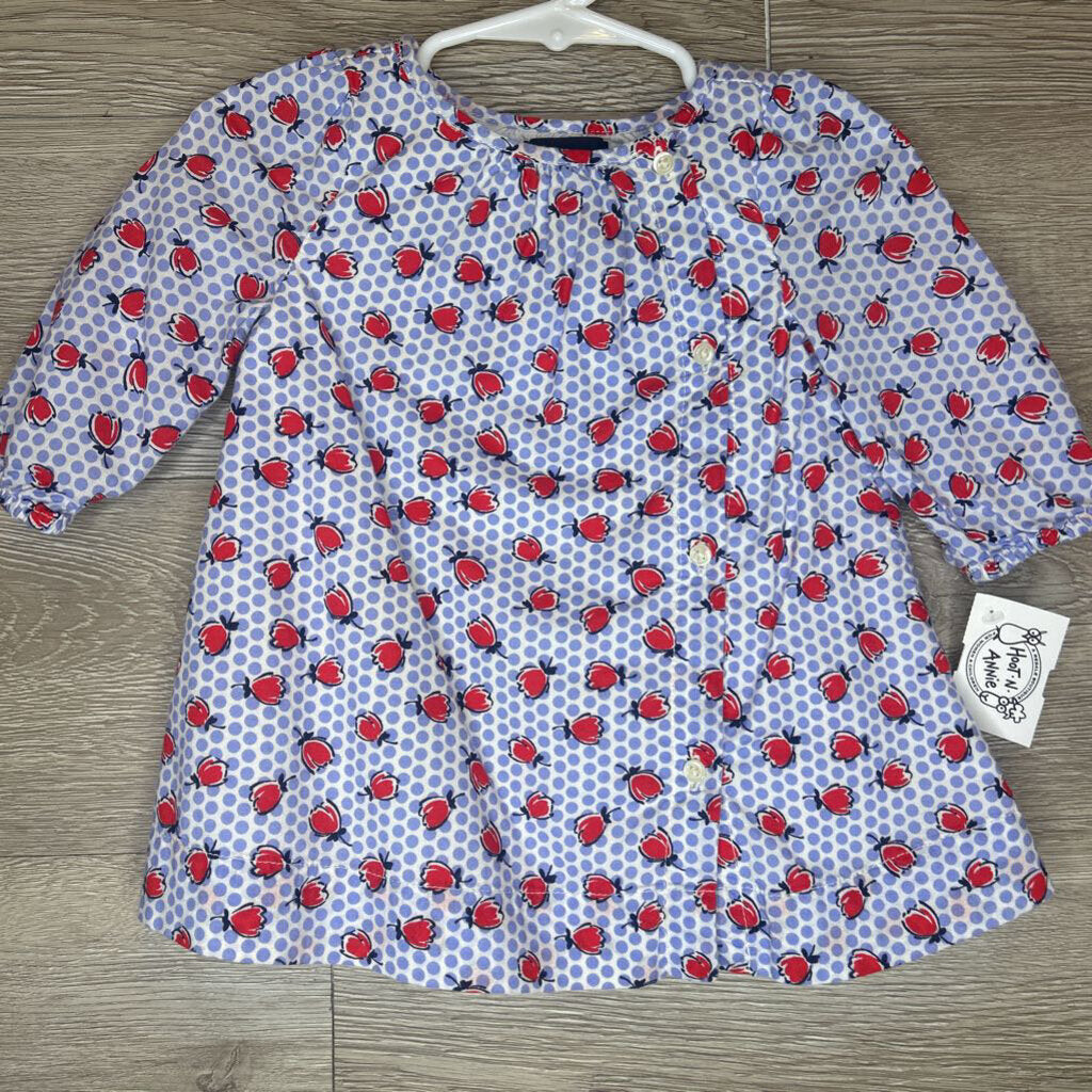 3-6M: Blue + Red Floral Print L/S Dress