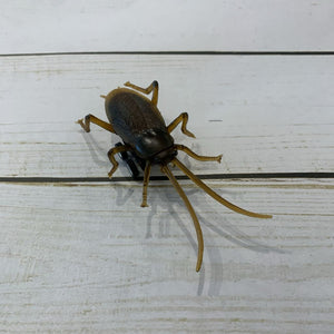Pull + Go Cockroach