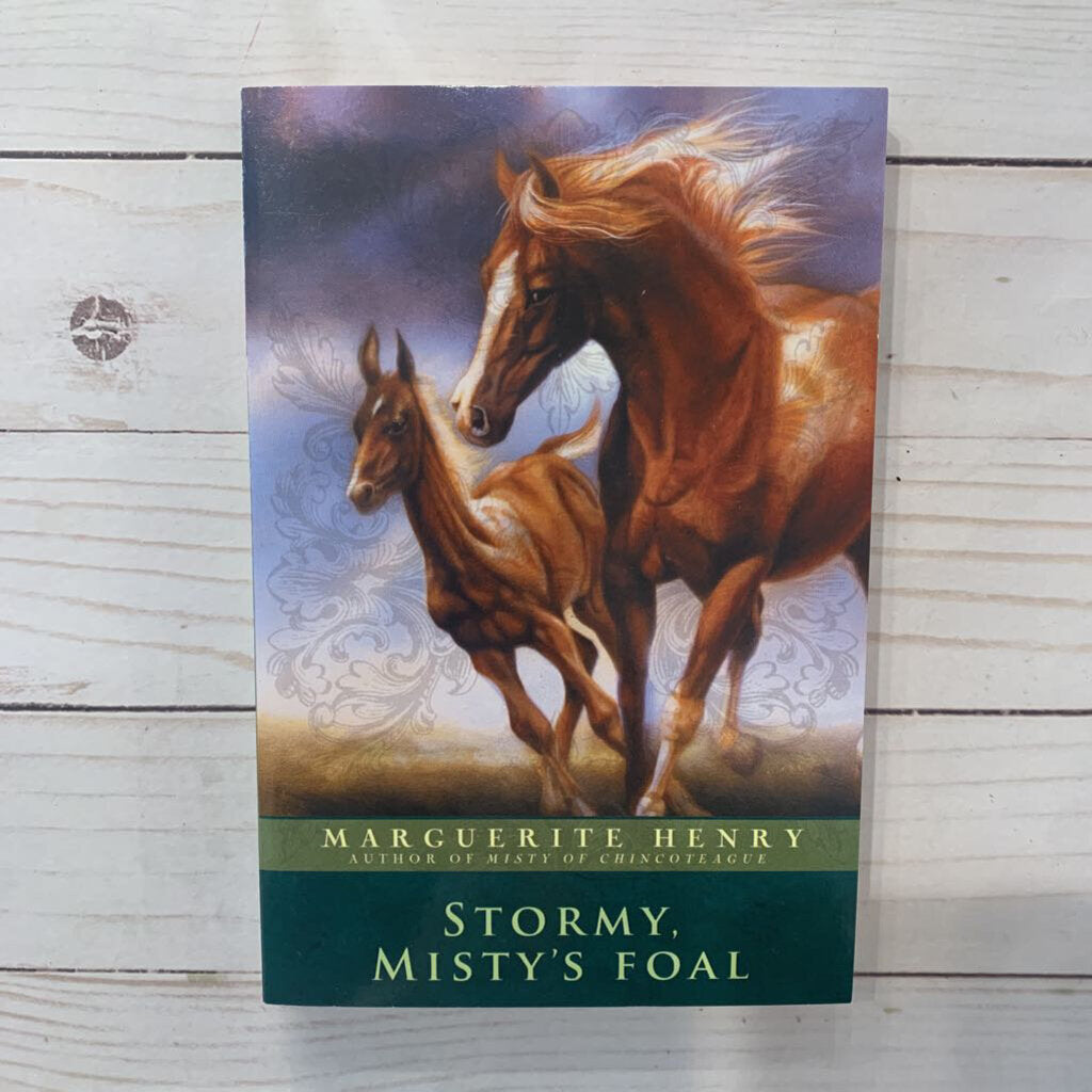 Used Book - Stormy Misty's Foal