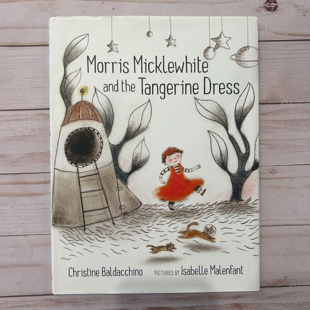 Used Book- Morris Micklewhite and the Tangerine Dress