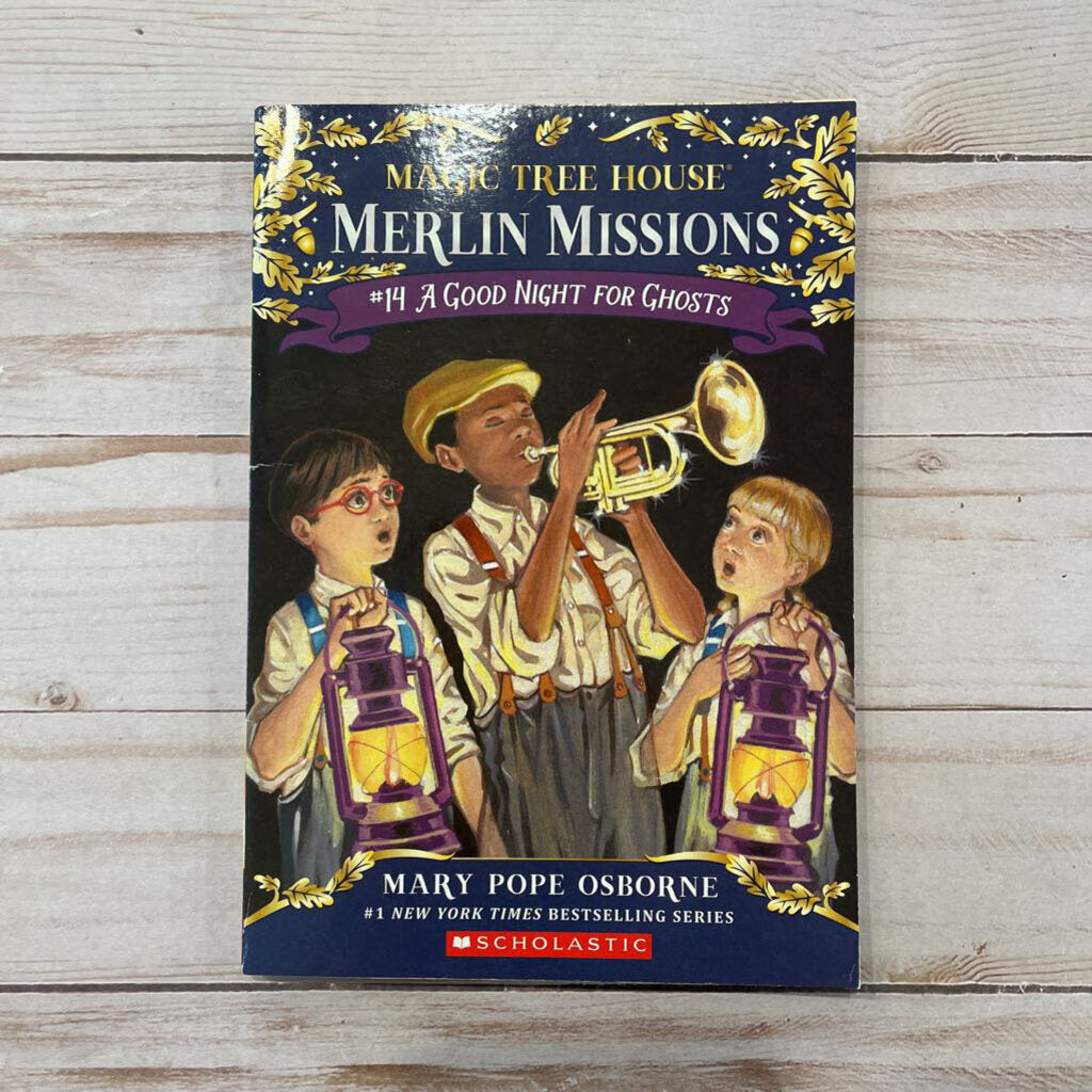 Used Book- Magic Tree House Merlin Missions #14