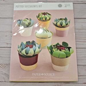 NWT Potted Succulents Craft Kit