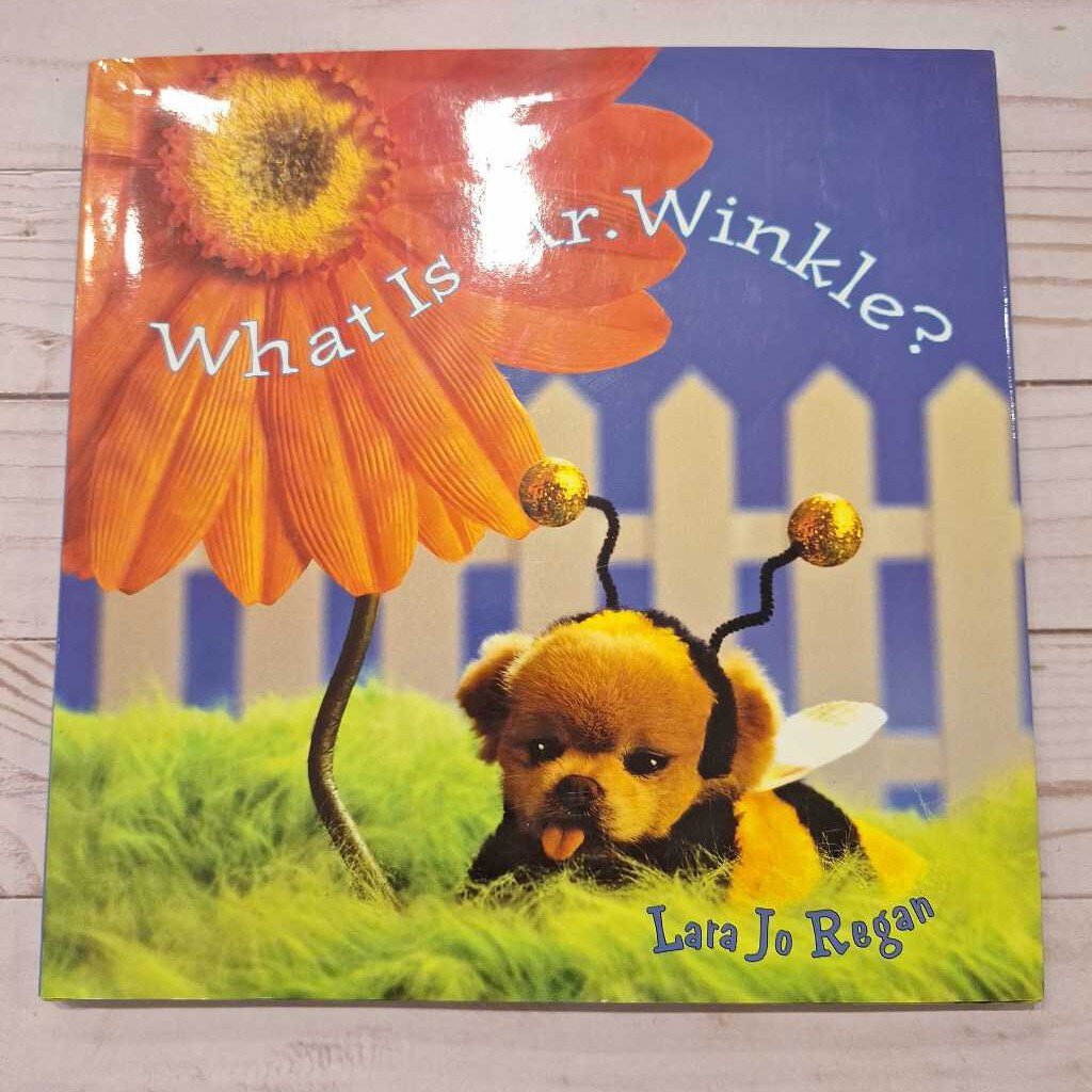 Used Book - What is Mr Winkle?